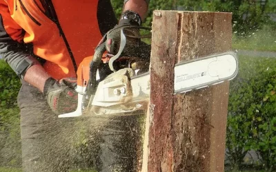 Podrobnosti na zaistenie bezpečnosti a ochrany zdravia pri lesnej práci s motorovou pílou